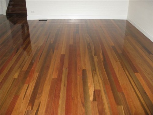 Spotted Gum with gloss finish