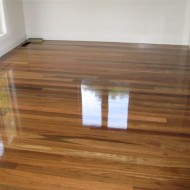 Spotted Gum with gloss finish